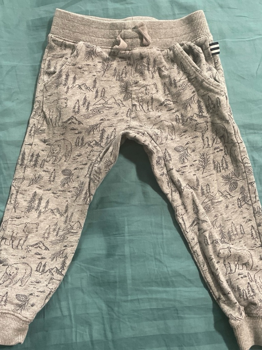 Splendid Light Gray Forest & Bear Joggers